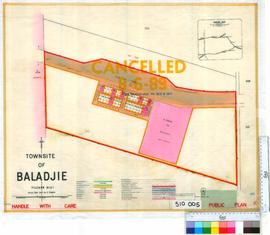 Baladjie [Tally No. 510005].
